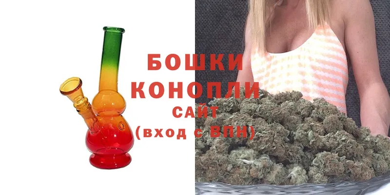 Шишки марихуана THC 21%  Вытегра 